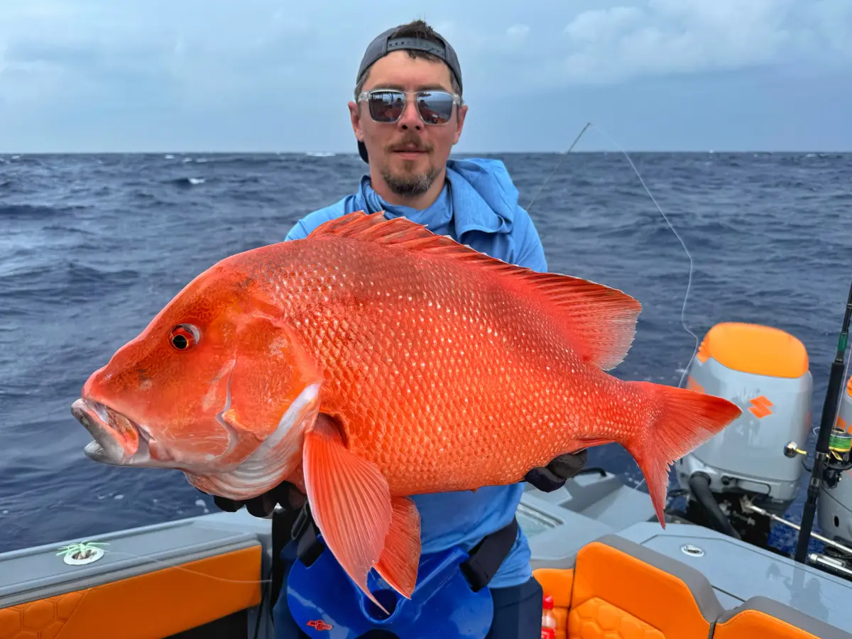 ТУР BIG GAME MAHE PLATO 4H