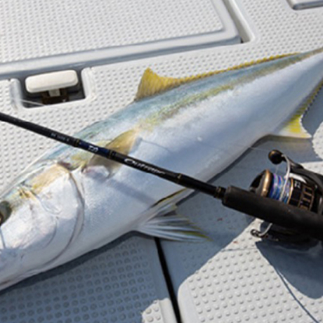 Без имени-19.jpg